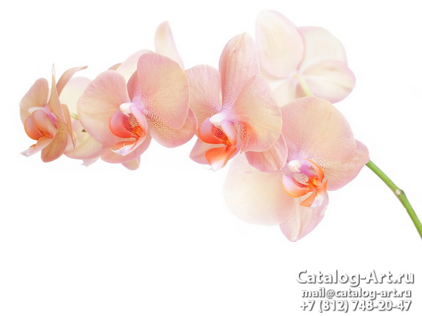 Натяжные потолки с фотопечатью - Розовые орхидеи 46